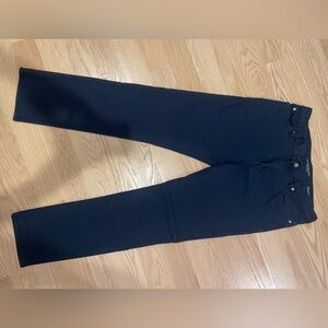Banana Republic Navy Traveler's stretch pants
